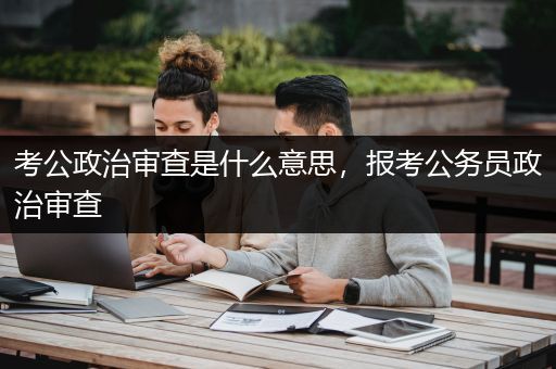 考公政治审查是什么意思，报考公务员政治审查