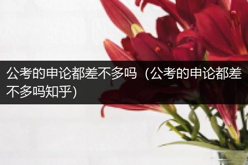 公考的申论都差不多吗（公考的申论都差不多吗知乎）