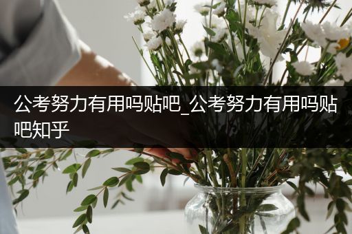 公考努力有用吗贴吧_公考努力有用吗贴吧知乎