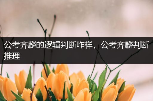 公考齐麟的逻辑判断咋样，公考齐麟判断推理