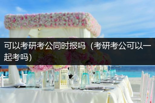 可以考研考公同时报吗（考研考公可以一起考吗）
