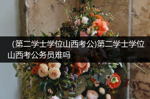 （第二学士学位山西考公)第二学士学位山西考公务员难吗