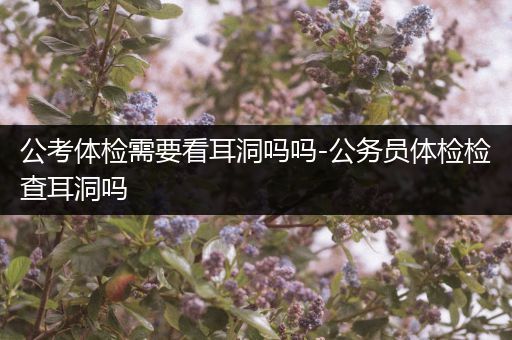 公考体检需要看耳洞吗吗-公务员体检检查耳洞吗
