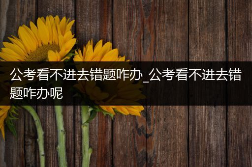 公考看不进去错题咋办_公考看不进去错题咋办呢