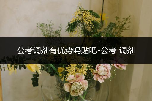 公考调剂有优势吗贴吧-公考 调剂
