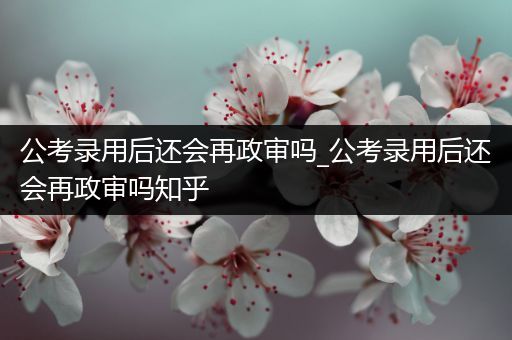 公考录用后还会再政审吗_公考录用后还会再政审吗知乎