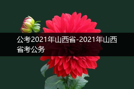 公考2021年山西省-2021年山西省考公务