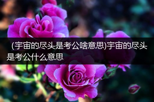 （宇宙的尽头是考公啥意思)宇宙的尽头是考公什么意思