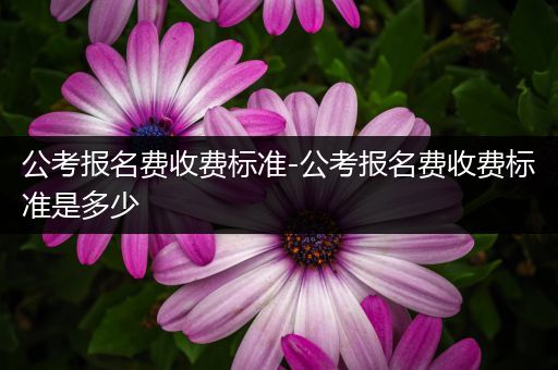 公考报名费收费标准-公考报名费收费标准是多少