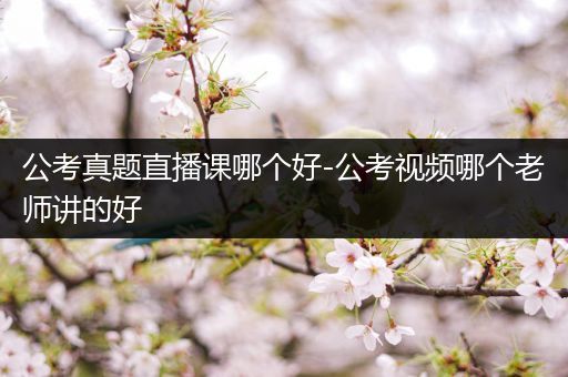 公考真题直播课哪个好-公考视频哪个老师讲的好
