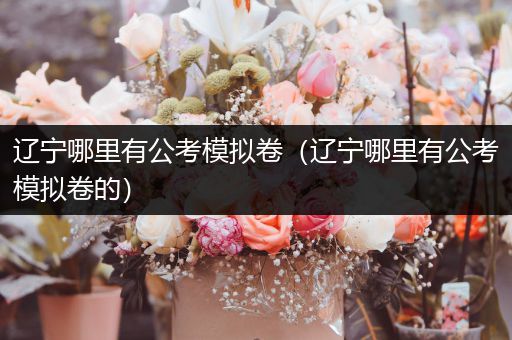 辽宁哪里有公考模拟卷（辽宁哪里有公考模拟卷的）
