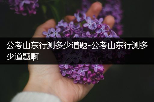 公考山东行测多少道题-公考山东行测多少道题啊
