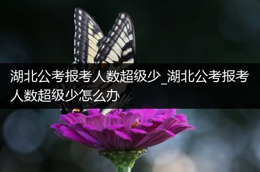 湖北公考报考人数超级少_湖北公考报考人数超级少怎么办