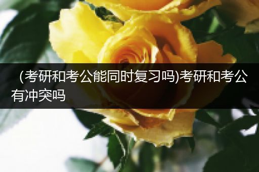 （考研和考公能同时复习吗)考研和考公有冲突吗
