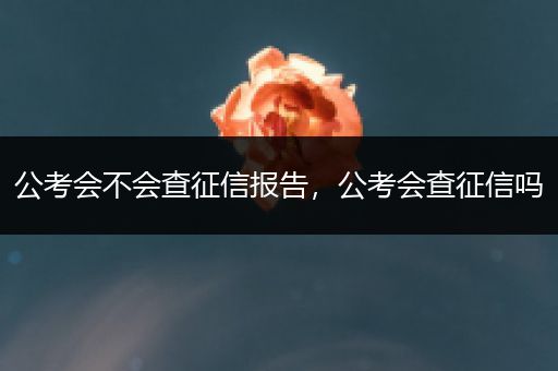 公考会不会查征信报告，公考会查征信吗