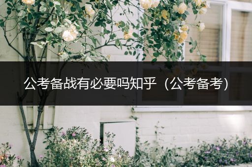 公考备战有必要吗知乎（公考备考）