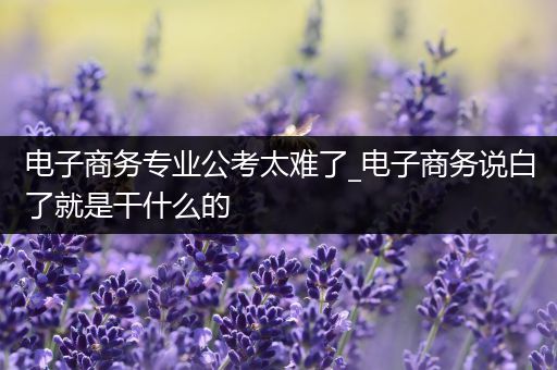 电子商务专业公考太难了_电子商务说白了就是干什么的