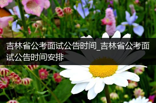 吉林省公考面试公告时间_吉林省公考面试公告时间安排