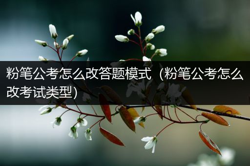 粉笔公考怎么改答题模式（粉笔公考怎么改考试类型）