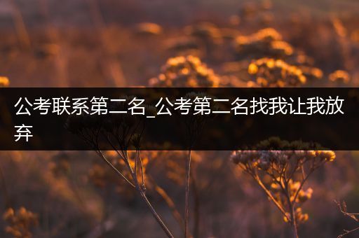公考联系第二名_公考第二名找我让我放弃