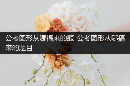 公考图形从哪搞来的题_公考图形从哪搞来的题目