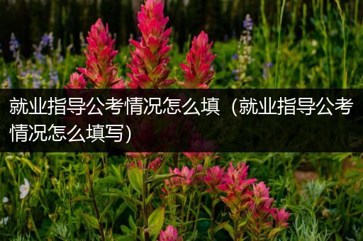 就业指导公考情况怎么填（就业指导公考情况怎么填写）