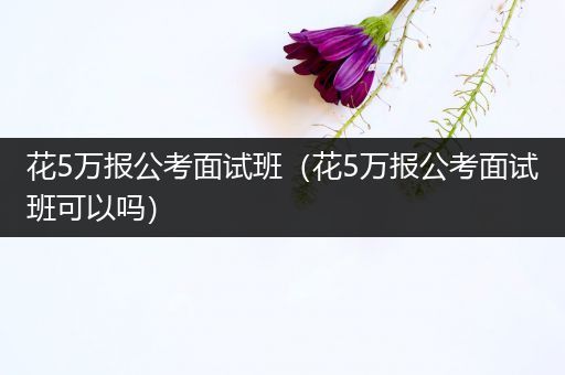 花5万报公考面试班（花5万报公考面试班可以吗）