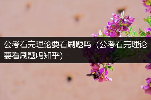 公考看完理论要看刷题吗（公考看完理论要看刷题吗知乎）