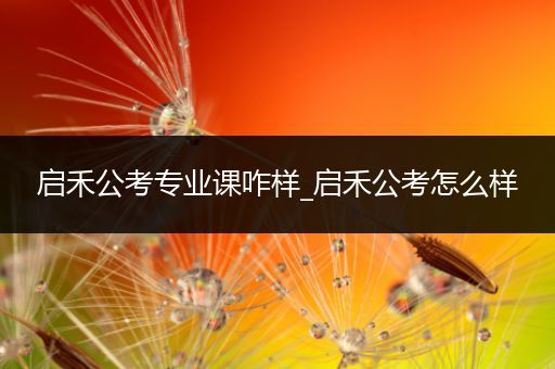 启禾公考专业课咋样_启禾公考怎么样
