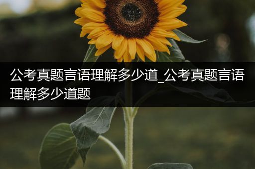 公考真题言语理解多少道_公考真题言语理解多少道题