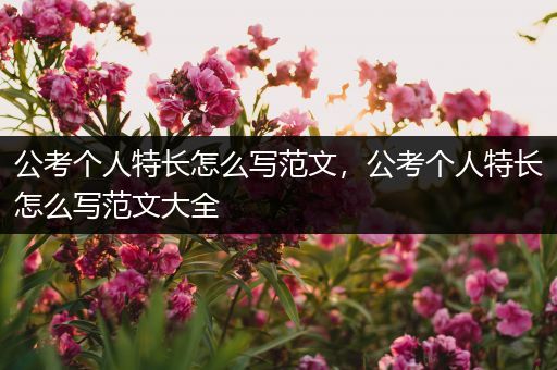 公考个人特长怎么写范文，公考个人特长怎么写范文大全