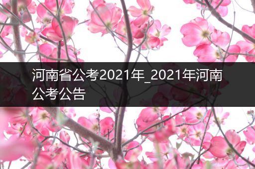 河南省公考2021年_2021年河南公考公告