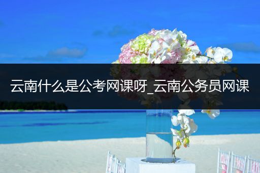 云南什么是公考网课呀_云南公务员网课
