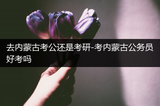 去内蒙古考公还是考研-考内蒙古公务员好考吗