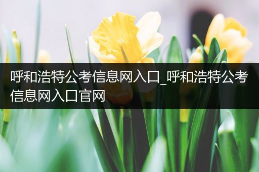 呼和浩特公考信息网入口_呼和浩特公考信息网入口官网