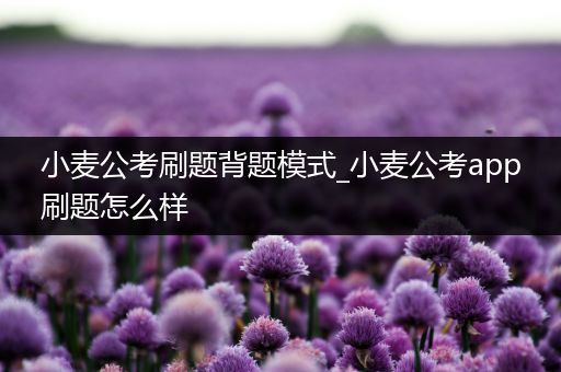 小麦公考刷题背题模式_小麦公考app刷题怎么样