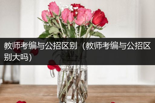 教师考编与公招区别（教师考编与公招区别大吗）