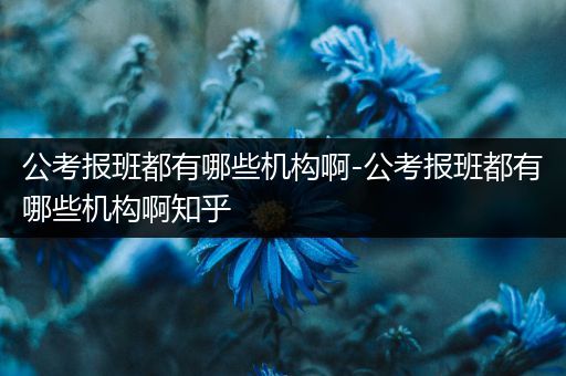 公考报班都有哪些机构啊-公考报班都有哪些机构啊知乎