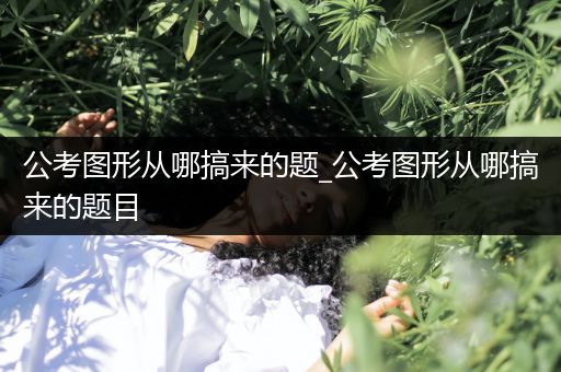 公考图形从哪搞来的题_公考图形从哪搞来的题目