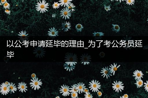 以公考申请延毕的理由_为了考公务员延毕