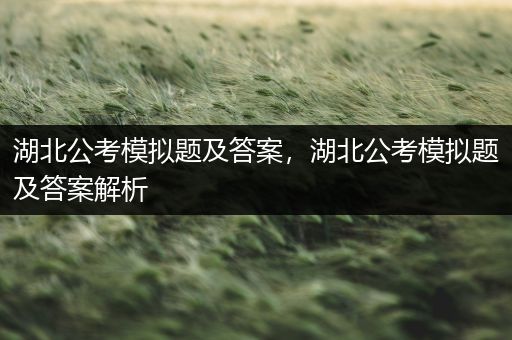 湖北公考模拟题及答案，湖北公考模拟题及答案解析