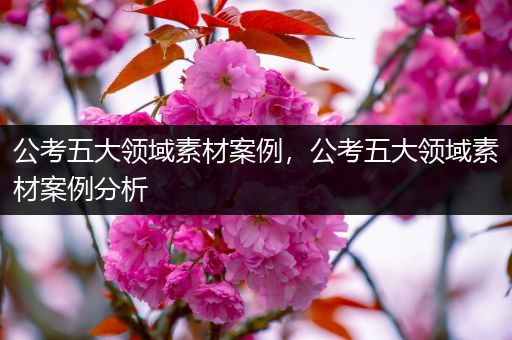公考五大领域素材案例，公考五大领域素材案例分析