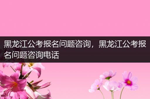 黑龙江公考报名问题咨询，黑龙江公考报名问题咨询电话