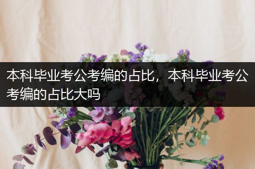 本科毕业考公考编的占比，本科毕业考公考编的占比大吗