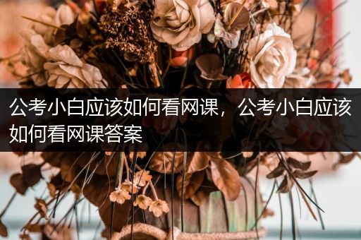 公考小白应该如何看网课，公考小白应该如何看网课答案