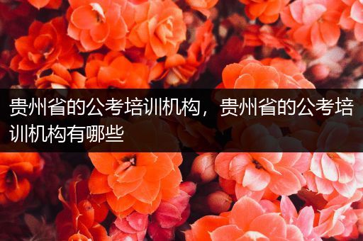 贵州省的公考培训机构，贵州省的公考培训机构有哪些
