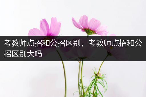 考教师点招和公招区别，考教师点招和公招区别大吗