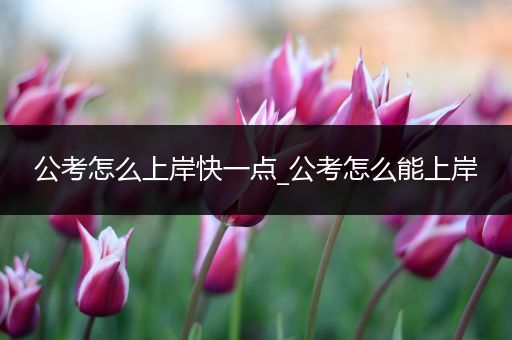 公考怎么上岸快一点_公考怎么能上岸