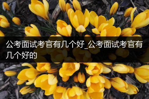 公考面试考官有几个好_公考面试考官有几个好的