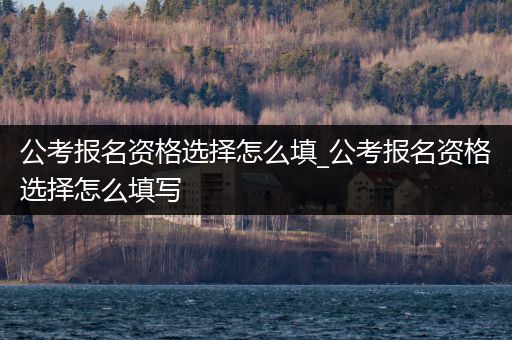 公考报名资格选择怎么填_公考报名资格选择怎么填写
